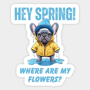 Spring Bulldog in the Rain Sticker